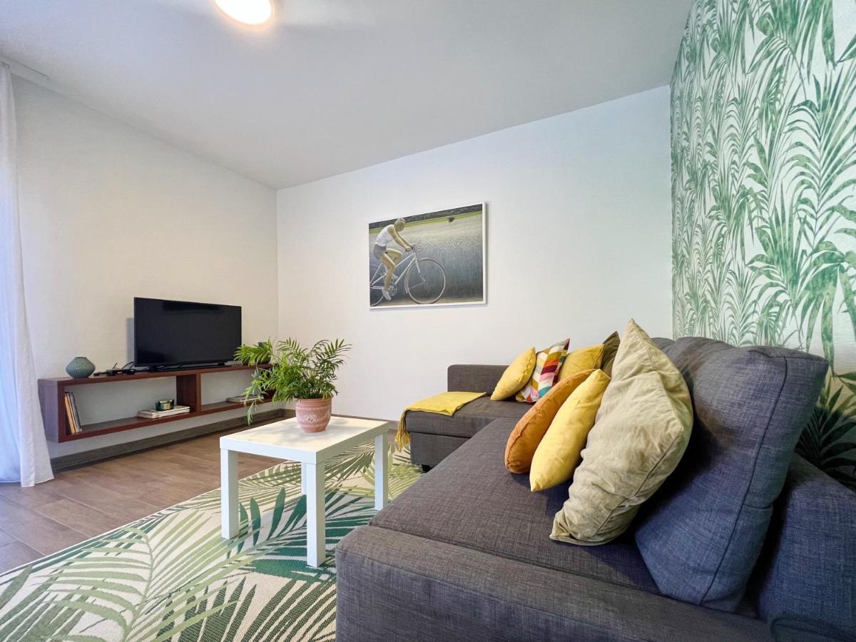 Apartments Teodora Maria Novigrad  Ngoại thất bức ảnh